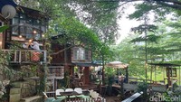 Jika diperhatikan dari luar, traveler akan melihat kafe ini seperti sarang burung yang berada di tengah pepohonan nan rimbun. Bangku-bangku disusun sedemikian rupa dengan interiro yang begitu estetik. Simpel, namun enak dipandang.