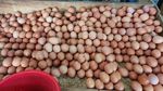 Harga Telur Ayam Tembus Rp 30.000/Kg Jelang Ramadhan