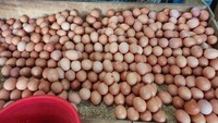 Sebelumnya, pedagang menjual telur dengan harga Rp 27.000-28.000/kg. Almadinah Putri Brilian/detikcom