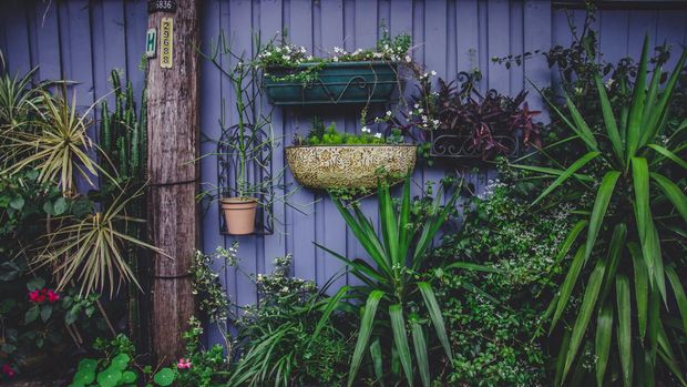 Vertical Garden - Sistem wadah.
