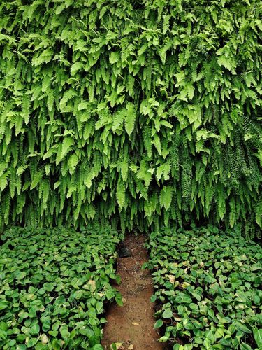 Vertical Garden - Sistem prefabrikasi.