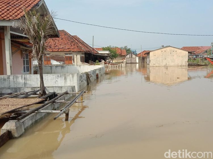 Potret Banjir Rob yang Terjang 3 Desa di Indramayu