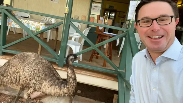 Burung Emu Pengacau di Australia