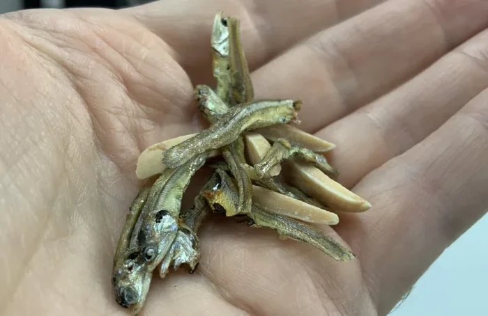 Camilan Kacang Almond Dicampur Ikan Teri Utuh, Mau Coba?