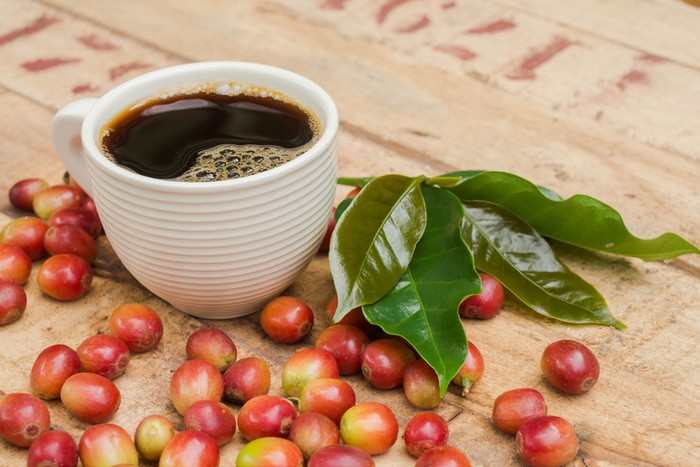 5 Daerah Penghasil Kopi Terbaik di Indonesia, Jadi Rebutan di Dunia!