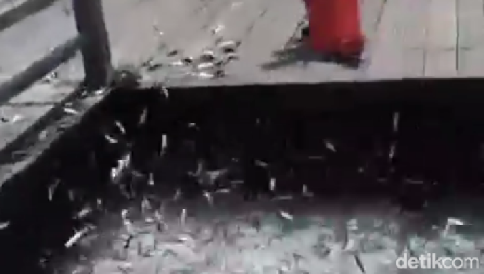 Fenomena ikan-ikan menepi di daratan Kepulauan Seribu, Jakarta, terjadi lagi. Kali ini, fenomena tersebut terjadi di Pulau Bidadari. BMKG memberi penjelasan. (dok pribadi/ Hidayat Arif)