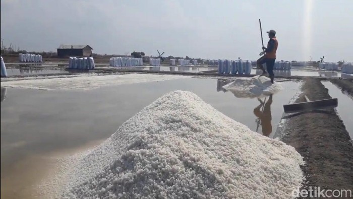 Lahan garam di Brebes