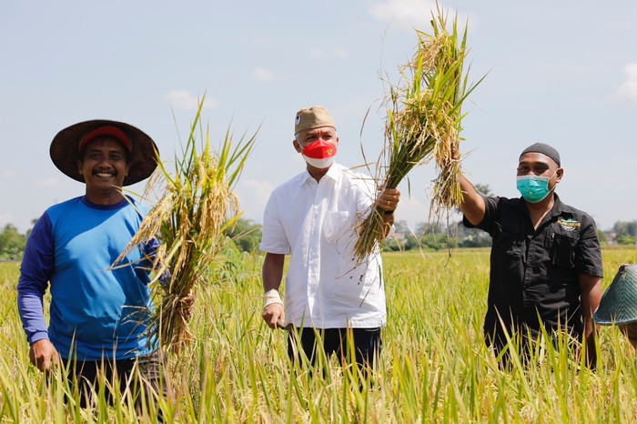 Gubernur Jawa Tengah Ganjar Pranowo mendorong penyaluran pupuk bersubsidi secara tepat sasaran kepada petani yang membutuhkan.