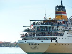 Rencana Pelni Beli Kapal Laut dari Suntikan PMN Rp 5 Triliun