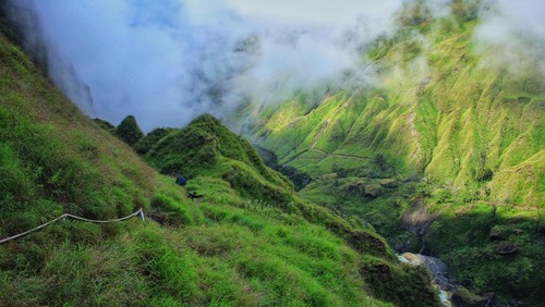 Kawasan hutan Taman Nasional Gunung Rinjani Lombok NTB