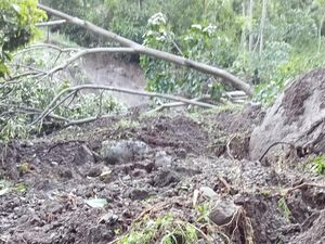 Akses Jalan 2 Dusun di Pinrang Tertutup Longsor Usai Diguyur Hujan Deras