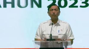 Luhut: Nggak Pernah di Pemerintahan Nggak Usah Banyak Omong