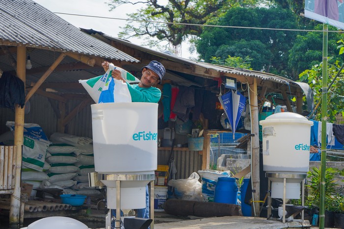 Pembudi Daya Ikan