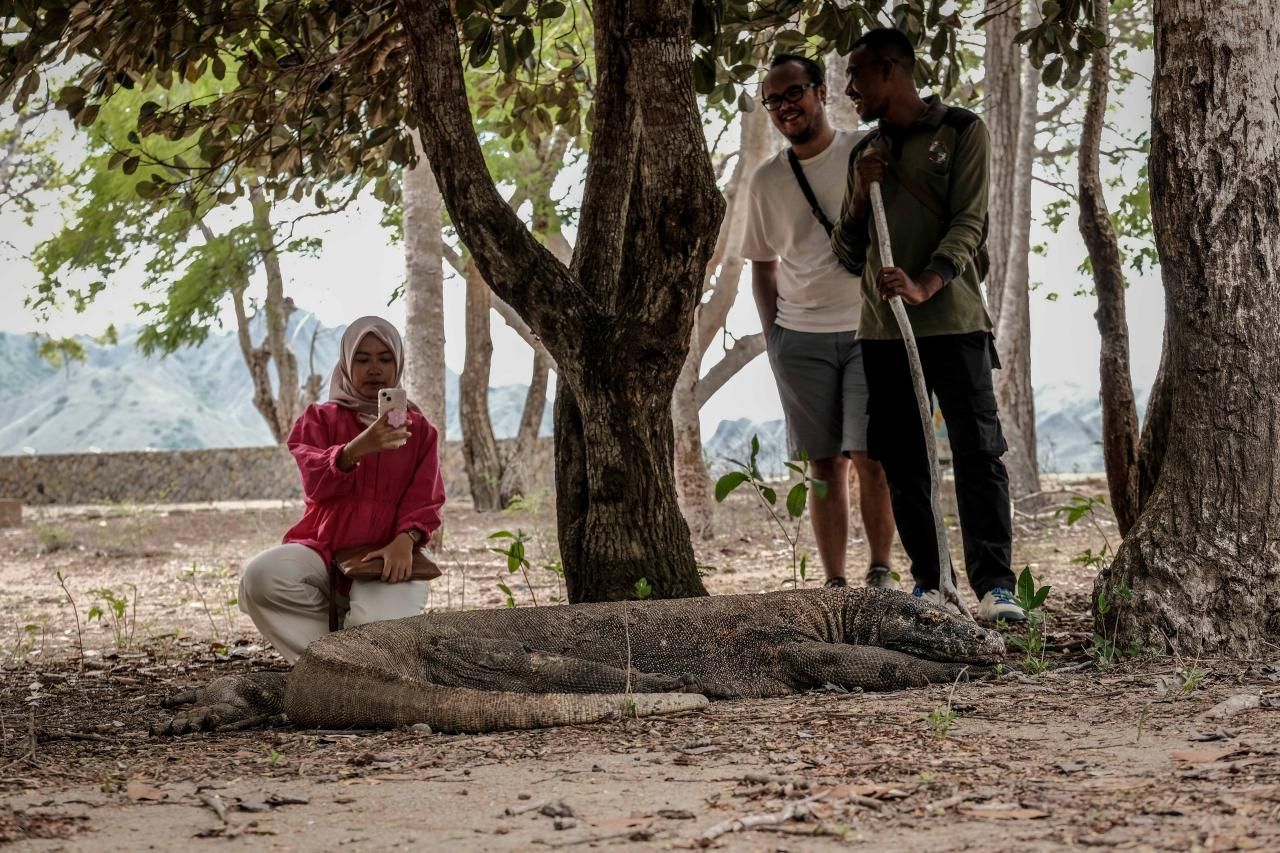 Pulau Komodo