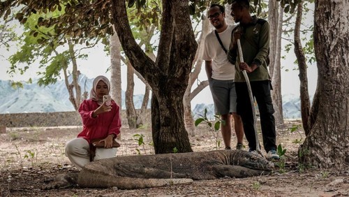 Pulau Komodo