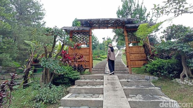 puncak sekawan