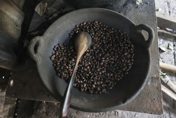 BALI, INDONESIA - NOVEMBER 12: A woman processes civet coffee beans in Bali, Indonesia on November 12, 2022. Kopi luwak, also called civet coffee, is a type of coffee sourced from the excrement of the Asian palm civet. Kopi luwak is a coffee that consists of partially digested coffee cherries, which have been eaten and defecated by the Asian palm civet. (Photo by Emin Sansar/Anadolu Agency via Getty Images)