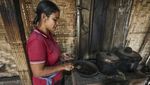 Salah Satu Kopi Termahal, Begini Proses Pembuatan Kopi Luwak di Bali