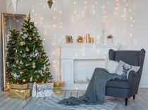 Ilmuwan Ungkap Cara Pilih Pohon Natal yang Paling Ramah Lingkungan