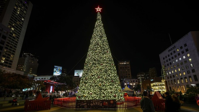 Sejarah pohon Natal berkaitan erat dengan perayaan Hari Natal 25 Desember. Natal adalah hari besar keagamaan yang dirayakan umat Kristiani di seluruh dunia.
