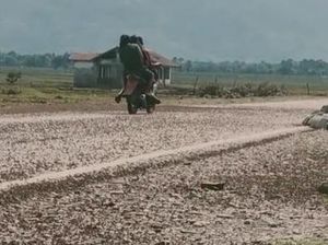 Terungkap! Penyebab Serangan Jutaan Belalang di Amfoang Timur
