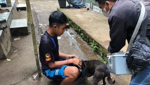 Vaksinasi anjing di Karangasem.
