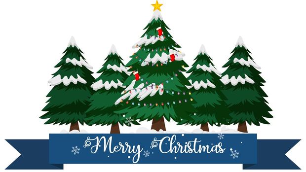 Ucapan Hari Natal 2022 dalam bahasa Inggris sudah terlampir. Berbagai ucapan Natal bisa dipersiapkan menjelang perayaannya pada tanggal 25 Desember.