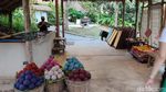 Mungkin Satu-satunya di Dunia, Taman Tai Gajah