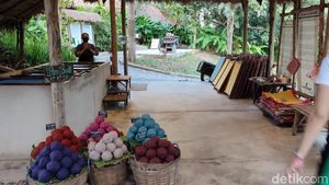 Mungkin Satu-satunya di Dunia, Taman Tai Gajah