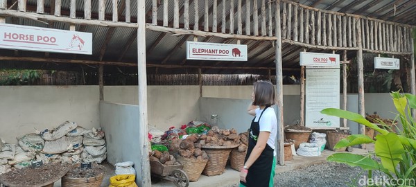 Thailand juga memiliki tempat yang menawarkan suvenir dari kotoran gajah, yaitu Elephant Poopoopaper Park di Chiang Mai.
