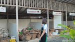 Mungkin Satu-satunya di Dunia, Taman Tai Gajah