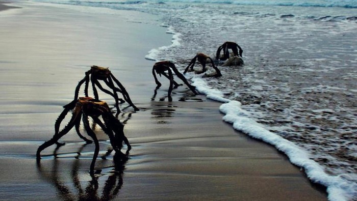 Foto Alien bidikan Jan Vorster