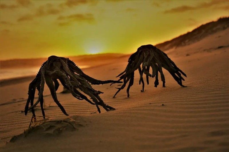 Foto Alien bidikan Jan Vorster