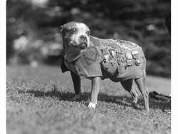 Foto Bersejarah Mengejutkan dan Jarang Dilihat Orang