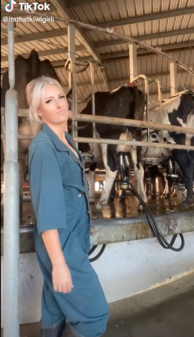 Ia bicara mengenai sulitnya menjadi petani. Aku berharap kepemilikan ladang masih memungkinkan tanpa memiliki traktor. Tapi aku paling suka traktor-traktor lama, tulisnya.Foto: TikTok itsthatkiwigirll