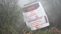 Bus ini masuk ke dalam semak-semak dan pepohonan yang ada di pinggir Jalan Tol.