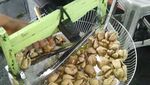 Kreatif! Tutup Depan Kipas Angin Ini Disulap jadi Saringan Makanan
