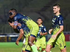 Viking Jepang: Saatnya Persib Juara Lagi