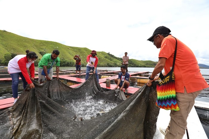 Pemuda yang tergabung dalam Papua Muda Inspiratif (PMI) dan BIN turun langsung ke lapangan melakukan kegiatan pemberdayaan masyarakat.
