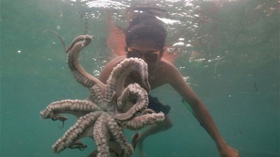 Potret Kehidupan Suku Bajo, Inspirasi Film Avatar 2: Way of Water