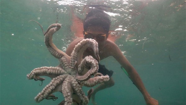 Potret Kehidupan Suku Bajo, Inspirasi Film Avatar 2: Way of Water