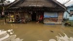 Kondisi Banjir di Aceh Imbas Curah Hujan Tinggi