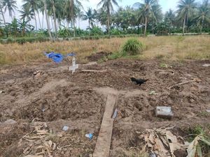 DLH Pinrang Ngotot Alihkan TPU Corona Jadi Pemakaman Umum Meski Tuai Protes