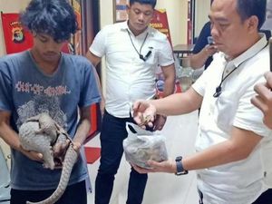 Polda Lampung Bongkar Penjualan Sisik Trenggiling
