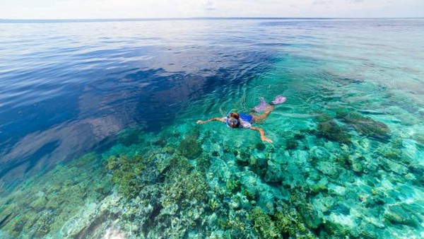 Wakatobi merupakan satu dari sekian banyak wilayah indah Indonesia, di Provinsi Sulawesi Tenggara yang terkenal akan tempat wisatanya. Tidak hanya itu, kabupaten Wakatobi juga dikenal dengan slogan “Surga Nyata Bawah Laut Dipusat Segitiga Karang Dunia”. (Fbxx/Getty Images) Wakatobi merupakan satu dari sekian banyak wilayah indah Indonesia, di Provinsi Sulawesi Tenggara yang terkenal akan tempat wisatanya. Tidak hanya itu, kabupaten Wakatobi juga dikenal dengan slogan “Surga Nyata Bawah Laut Dipusat Segitiga Karang Dunia”. (Fbxx/Getty Images)