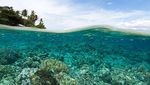 Destinasi Indonesia yang Vibesnya Mirip Film Avatar 2:The Way of Water