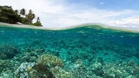 Pulau Siladen. Pulau ini merupakan salah satu pulau yang berada di kecamatan Bunaken. Pulau ini tepatnya berlokasi di sebelah timur laut Pulau Bunaken atau berjarak sekitar 8 mil dari pusat kota Manado, Sulawesi Utara. (Ifish/Getty Images)