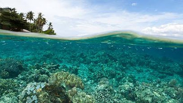 Pulau Siladen. Pulau ini merupakan salah satu pulau yang berada di kecamatan Bunaken. Pulau ini tepatnya berlokasi di sebelah timur laut Pulau Bunaken atau berjarak sekitar 8 mil dari pusat kota Manado, Sulawesi Utara. (Ifish/Getty Images) Pulau Siladen. Pulau ini merupakan salah satu pulau yang berada di kecamatan Bunaken. Pulau ini tepatnya berlokasi di sebelah timur laut Pulau Bunaken atau berjarak sekitar 8 mil dari pusat kota Manado, Sulawesi Utara. (Ifish/Getty Images)