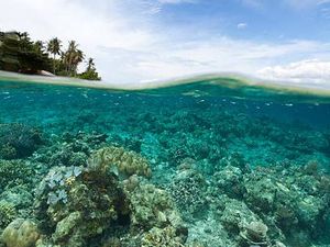 Destinasi Indonesia yang Vibesnya Mirip Film Avatar 2:The Way of Water