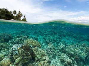 7 Wisata Bahari Keren di Indonesia, Cocok Jadi Tempat Liburan Bareng Keluarga